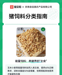 家里阳光不足怎么养花，选对植物种类，掌握养护技巧