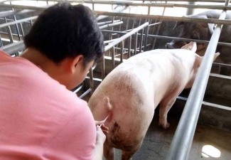 家里阳光不足怎么养花，选对植物种类，掌握养护技巧