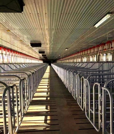 家里阳光不足怎么养花，选对植物种类，掌握养护技巧