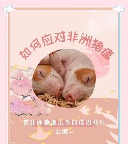 家里阳光不足怎么养花，选对植物种类，掌握养护技巧