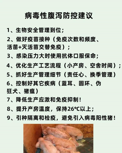 家里阳光不足怎么养花，选对植物种类，掌握养护技巧