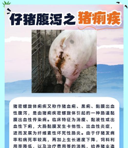 家里阳光不足怎么养花，选对植物种类，掌握养护技巧