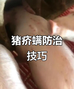 家里阳光不足怎么养花，选对植物种类，掌握养护技巧