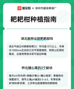 家里阳光不足怎么养花，选对植物种类，掌握养护技巧