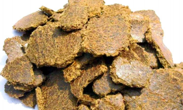 家里阳光不足怎么养花，选对植物种类，掌握养护技巧