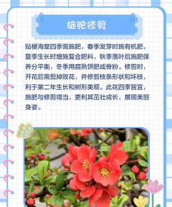 家里阳光不足怎么养花，选对植物种类，掌握养护技巧