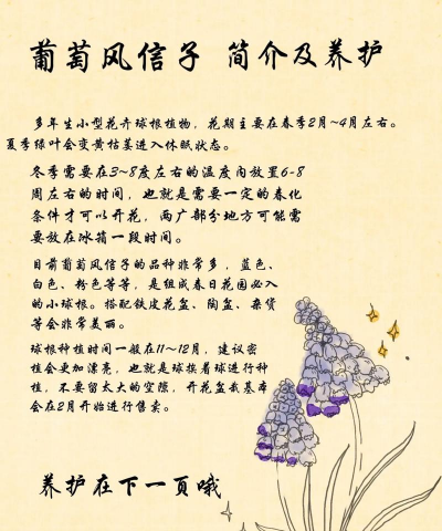 家里阳光不足怎么养花，选对植物种类，掌握养护技巧