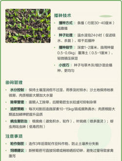 家里阳光不足怎么养花，选对植物种类，掌握养护技巧