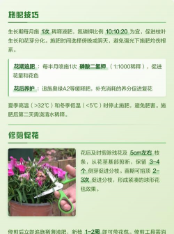 家里阳光不足怎么养花，选对植物种类，掌握养护技巧