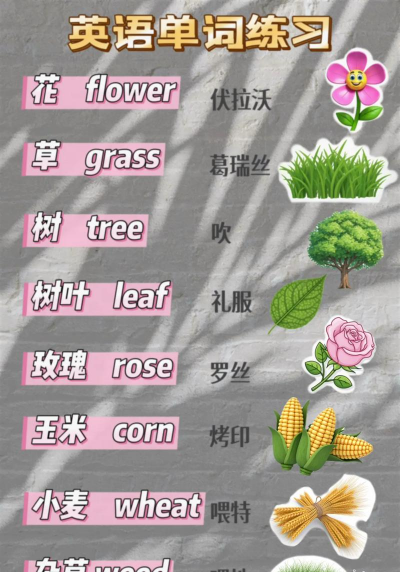 家里阳光不足怎么养花，选对植物种类，掌握养护技巧