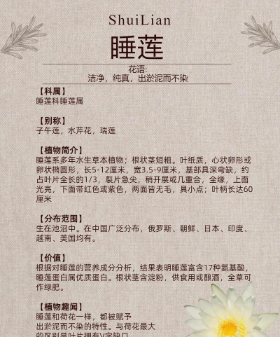 家里阳光不足怎么养花，选对植物种类，掌握养护技巧