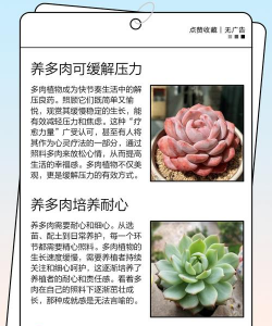 家里阳光不足怎么养花，选对植物种类，掌握养护技巧