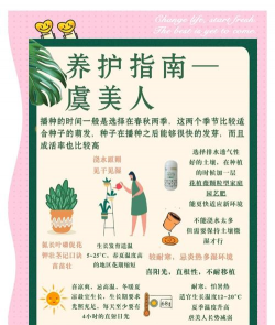 家里阳光不足怎么养花，选对植物种类，掌握养护技巧