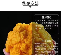 家里阳光不足怎么养花，选对植物种类，掌握养护技巧