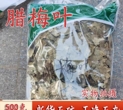 家里阳光不足怎么养花，选对植物种类，掌握养护技巧