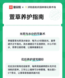 家里阳光不足怎么养花，选对植物种类，掌握养护技巧