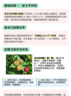 家里阳光不足怎么养花，选对植物种类，掌握养护技巧