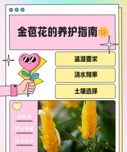 家里阳光不足怎么养花，选对植物种类，掌握养护技巧