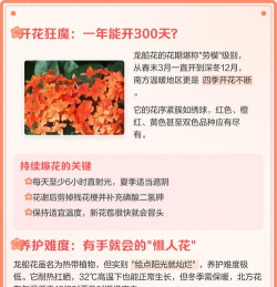 家里阳光不足怎么养花，选对植物种类，掌握养护技巧