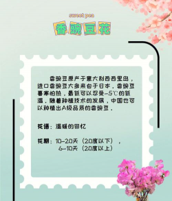 家里阳光不足怎么养花，选对植物种类，掌握养护技巧