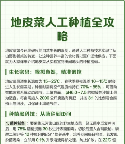 家里阳光不足怎么养花，选对植物种类，掌握养护技巧