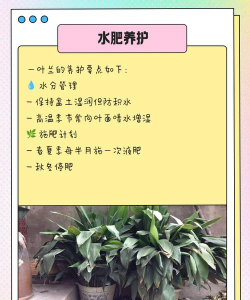 家里阳光不足怎么养花，选对植物种类，掌握养护技巧