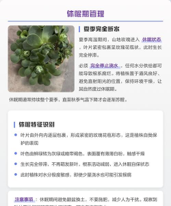 家里阳光不足怎么养花，选对植物种类，掌握养护技巧