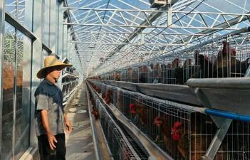 小众送妈妈的花有哪些花