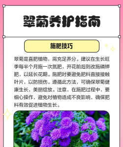 家里阳光不足怎么养花，选对植物种类，掌握养护技巧