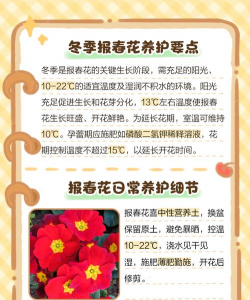 家里阳光不足怎么养花，选对植物种类，掌握养护技巧