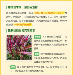 家里阳光不足怎么养花，选对植物种类，掌握养护技巧