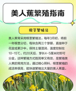 家里阳光不足怎么养花，选对植物种类，掌握养护技巧