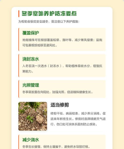 家里阳光不足怎么养花，选对植物种类，掌握养护技巧