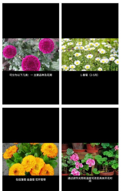 家里阳光不足怎么养花，选对植物种类，掌握养护技巧