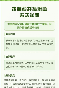 家里阳光不足怎么养花，选对植物种类，掌握养护技巧