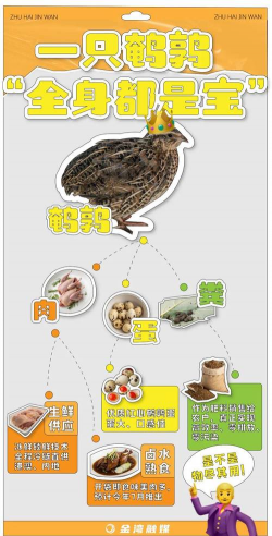 家里阳光不足怎么养花，选对植物种类，掌握养护技巧