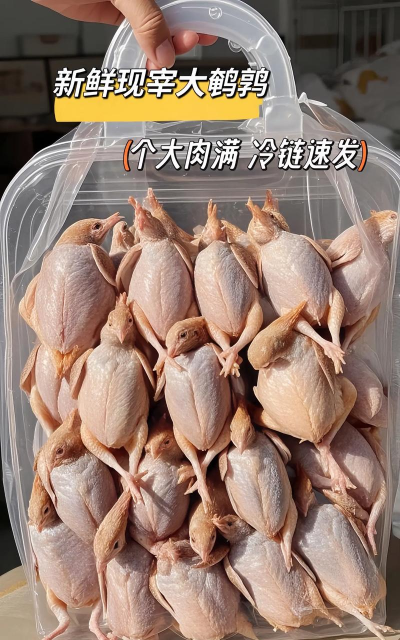 家里阳光不足怎么养花，选对植物种类，掌握养护技巧