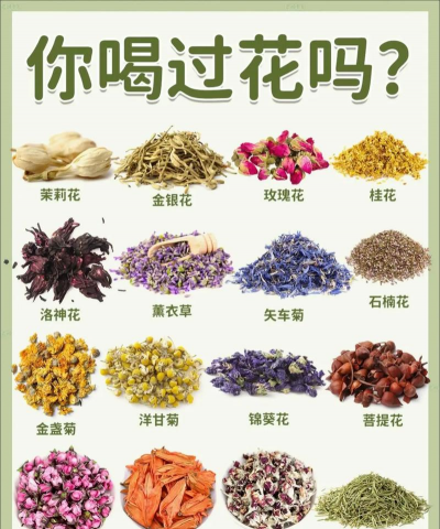 家里阳光不足怎么养花，选对植物种类，掌握养护技巧