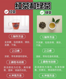 家里阳光不足怎么养花，选对植物种类，掌握养护技巧