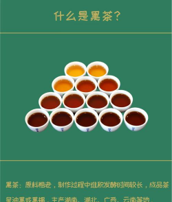 家里阳光不足怎么养花，选对植物种类，掌握养护技巧