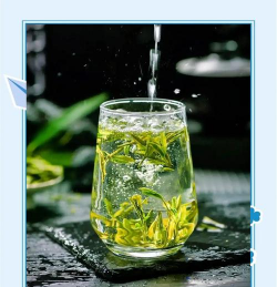 家里阳光不足怎么养花，选对植物种类，掌握养护技巧