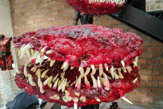 家里阳光不足怎么养花，选对植物种类，掌握养护技巧