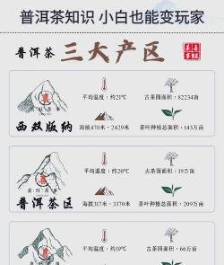 家里阳光不足怎么养花，选对植物种类，掌握养护技巧