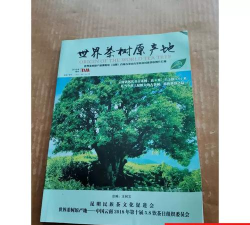 家里阳光不足怎么养花，选对植物种类，掌握养护技巧