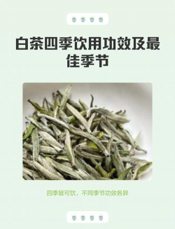 家里阳光不足怎么养花，选对植物种类，掌握养护技巧