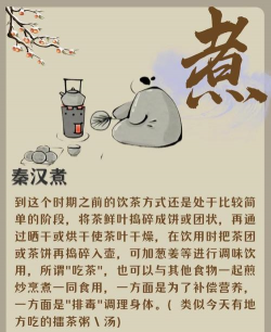 家里阳光不足怎么养花，选对植物种类，掌握养护技巧