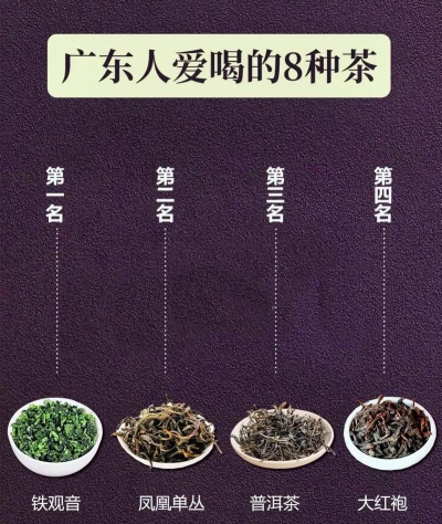 家里阳光不足怎么养花，选对植物种类，掌握养护技巧