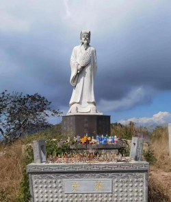 家里阳光不足怎么养花，选对植物种类，掌握养护技巧