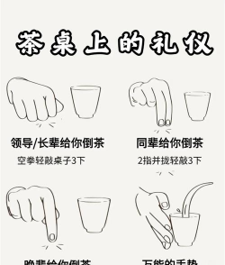 家里阳光不足怎么养花，选对植物种类，掌握养护技巧