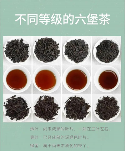 家里阳光不足怎么养花，选对植物种类，掌握养护技巧